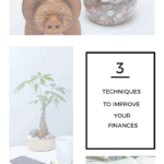 3 Techniques To Improve Your Finances